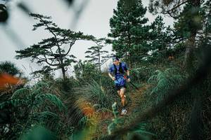 BIB: 
                            <button type="button" onclick="openModal(25258477)" class="btn btn-primary btn-sm float-right btn-popup" data-toggle="modal" data-target=".modal-high-quality">
                        <i class="fas fa-shopping-cart"></i> Add to Cart
                    </button>
                                            <button type="button" onclick="isThisMe(25258477, true)" class="btn btn-success btn-sm float-right btn-popup btn-isme hidden" data-toggle="tooltip" data-placement="bottom" title="นี่คือรูปของคุณใช่ไหม คลิกที่นี่เพื่อเอาเข้าอัลบั้ม">
                        <i class="fas fa-plus"></i> Add to album
                    </button>
                    <button type="button" onclick="isThisMe(25258477, false)" class="btn btn-warning btn-sm float-right btn-popup btn-isnotme hidden">
                        <i class="fas fa-ban"></i> Remove from album
                    </button>